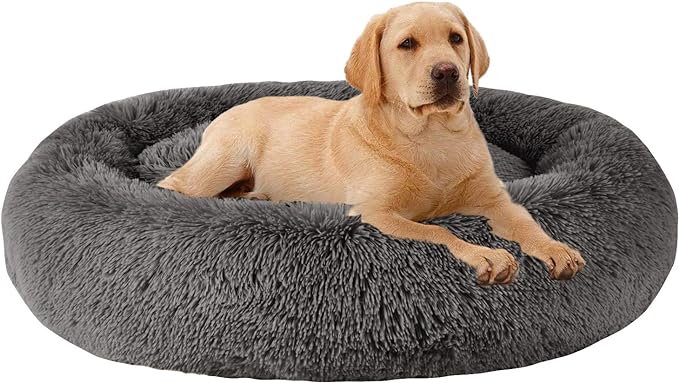 The fluffy dog bed