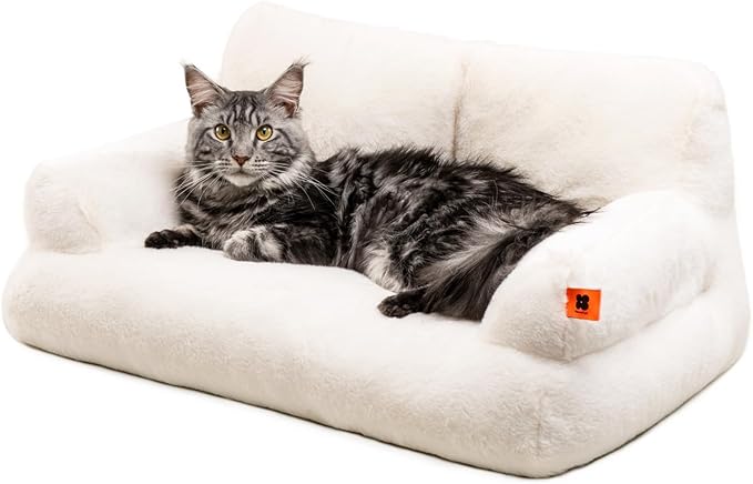 The fluffy cat sofa